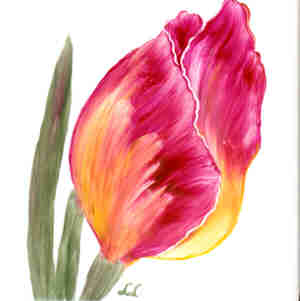 decoluc-peintre sur porcelaine-tulipe